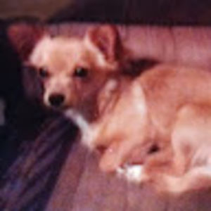 Meet your Posher, Its me